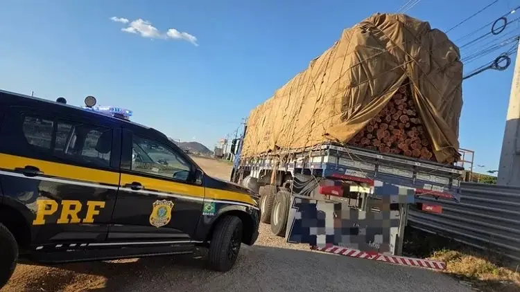 PRF apreende grande quantidade de madeira ilegal em operação ambiental em Pernambuco.