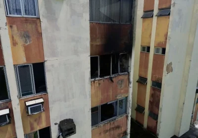 Tragédia no Recife (PE): Tio, sobrinha e três cachorros morrem em incêndio dentro de apartamento