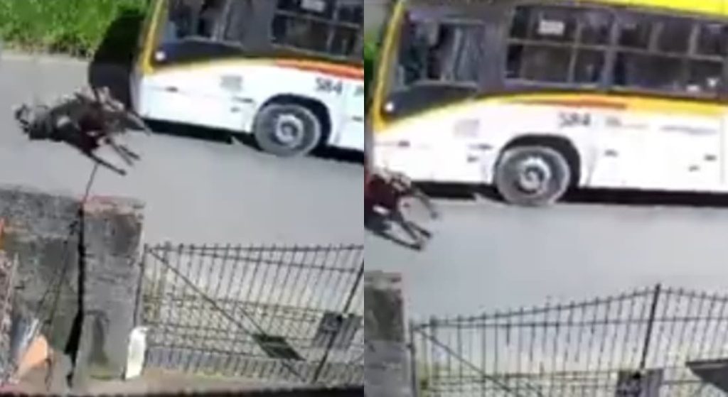 Acidente em Jaboatão dos Guararapes: Motociclista colide com ônibus e é lançado pela via