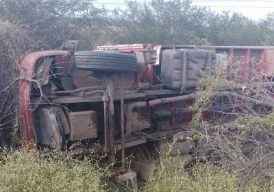Acidente no N-1: caminhão que transportava gado tomba