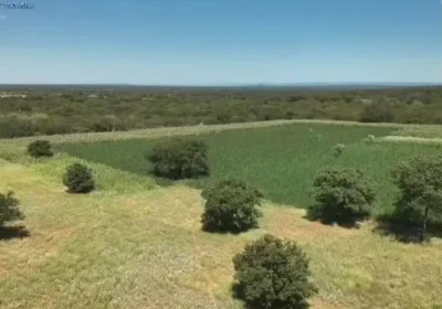 Aproximadamente 200 mil pés de maconha são destruídos na Chapada Diamantina (BA)