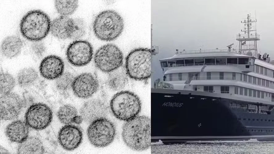Canadá confirma primeiro caso de hantavírus em cruzeiro com 12 infecções no navio