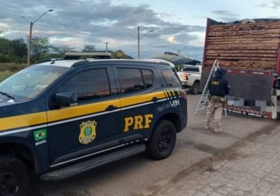 Operação conjunta da PRF e IBAMA resulta na apreensão de 165 m³ de madeira ilegal em municípios de Pernambuco
