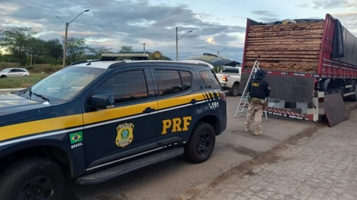 Operação conjunta da PRF e IBAMA resulta na apreensão de 165 m³ de madeira ilegal em municípios de Pernambuco