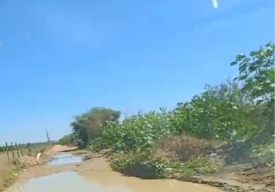 Acúmulo de lixo e condições precárias na avenida de Maniçoba são relatados pelos moradores