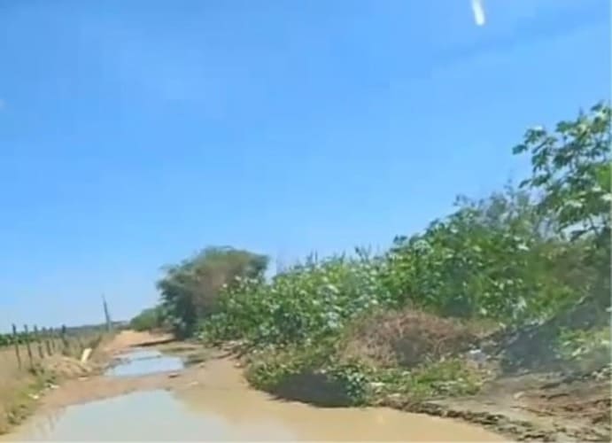 Acúmulo de lixo e condições precárias na avenida de Maniçoba são relatados pelos moradores