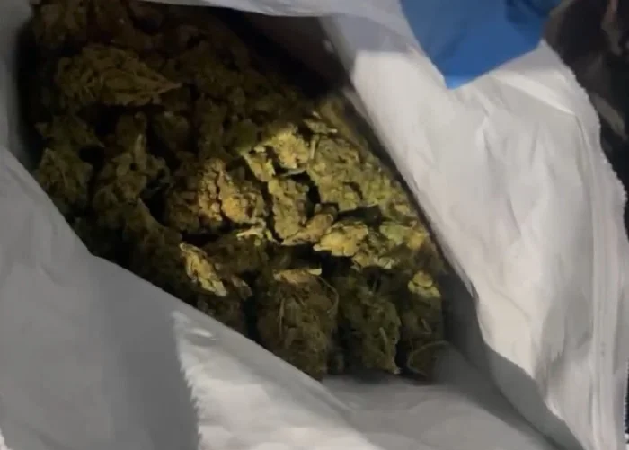 Após acidente de trânsito em Arcoverde (PE), PRF apreende substância semelhante a skunk.