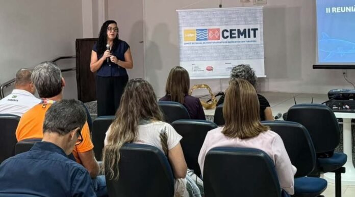 Cemit anuncia que 1ª fase de monitoramento em Pernambuco incluirá captura e marcação de 50 tubarões a partir de julho