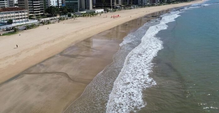 Garoto tem perna amputada após ser mordido por tubarão na praia de Piedade, em Jaboatão dos Guararapes (PE)