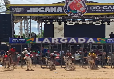 Jecana do Capim finaliza edição de 2026 com público recorde, espetáculos memoráveis e tradição mantida Jecana do Capim finaliza edição de 2026 com público recorde, espetáculos memoráveis e tradição mantida