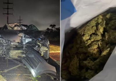 PRF apreende 4 kg de ‘skunk’ em Arcoverde (PE) após seguir rastro de sangue
