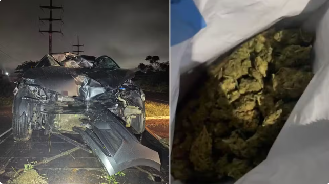 PRF apreende 4 kg de ‘skunk’ em Arcoverde (PE) após seguir rastro de sangue
