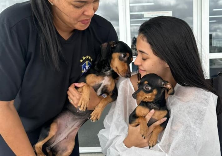 Paciente revê cachorrinhas durante tratamento e destaca impacto positivo na recuperação