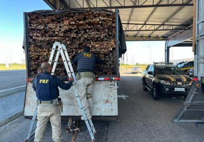 Polícia Rodoviária Federal intercepta carga de madeira ilegal e resgata pássaros silvestres no Sertão de Pernambuco