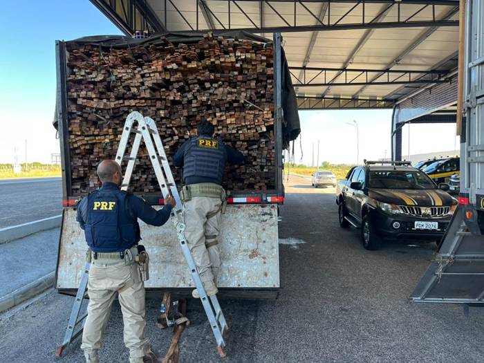 Polícia Rodoviária Federal intercepta carga de madeira ilegal e resgata pássaros silvestres no Sertão de Pernambuco