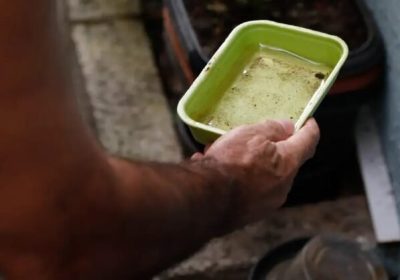 Impacto do El Niño no aumento de casos de chikungunya e dengue no Brasil