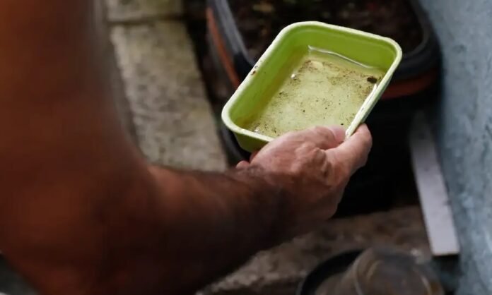 Impacto do El Niño no aumento de casos de chikungunya e dengue no Brasil