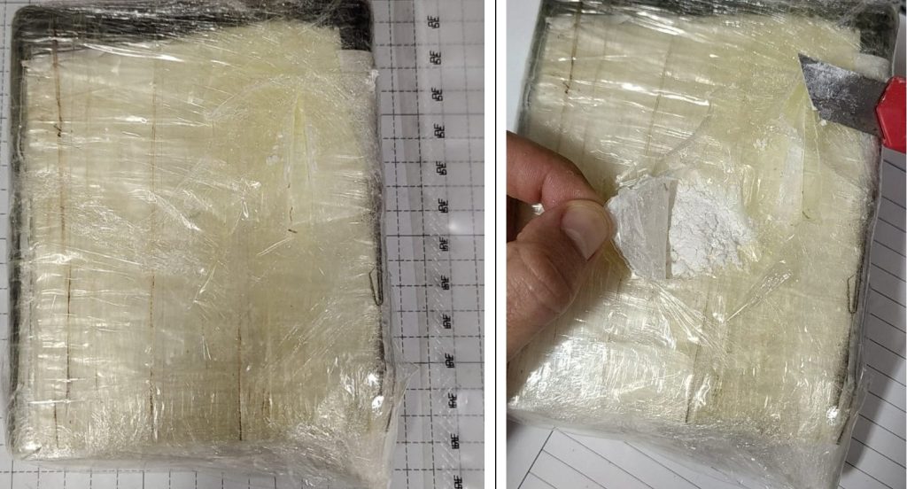 Mulher é presa em flagrante com 730 gramas de cocaína pela Polícia Federal em Recife (PE)