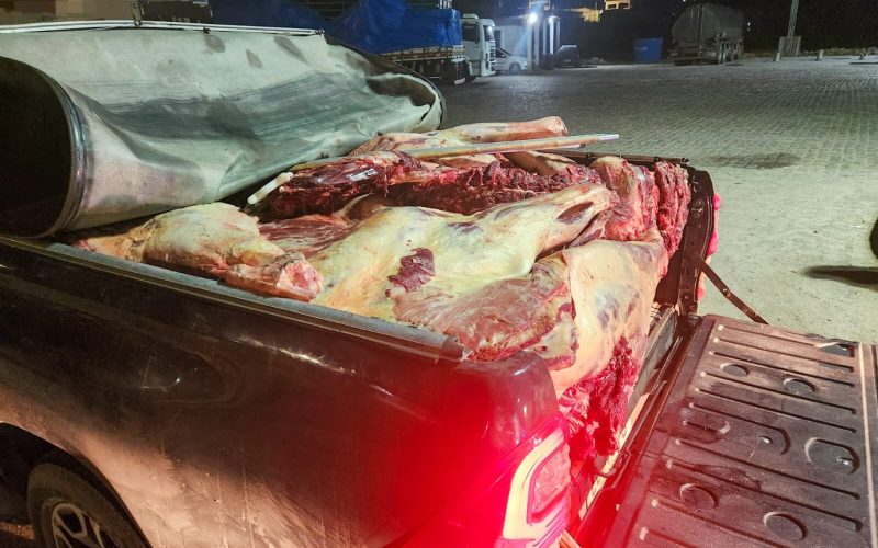PRF apreende 800 kg de carne bovina sem refrigeração em Garanhuns (PE) representando risco à saúde pública.