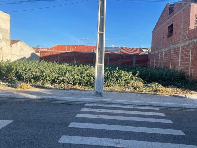 Proprietários de terrenos abandonados podem ser multados em até R$ 100 mil em Petrolina