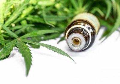 Aprovações para importação de cannabis crescem 29% em 2026