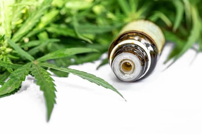 Aprovações para importação de cannabis crescem 29% em 2026