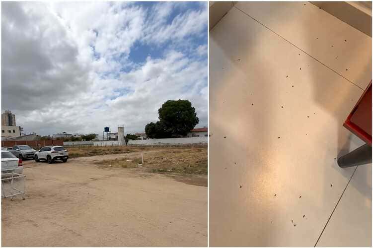 Canal negligenciado resulta em mau cheiro e proliferação de mosquitos no bairro São José
