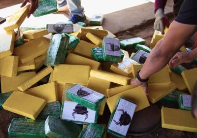 Polícia Federal queima quase 500 quilos de cocaína apreendida em Salgueiro Polícia Federal queima quase 500 quilos de cocaína apreendida em Salgueiro