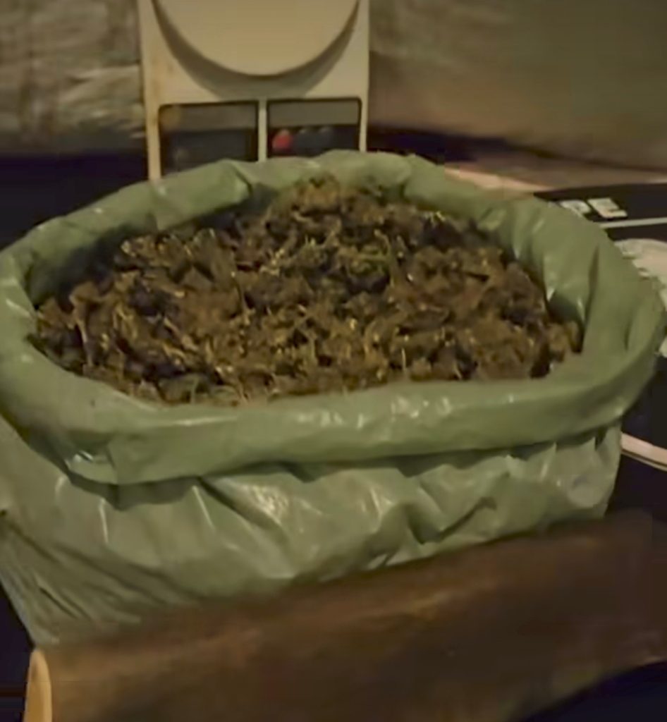 Polícia Militar apreende grande quantidade de maconha na zona rural de Santa Filomena – quase 14kg confiscados