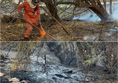 Bombeiros reforçam combate a incêndio florestal entre Pilão Arcado e Campo Alegre de Lourdes na Bahia Bombeiros reforçam combate a incêndio florestal entre Pilão Arcado e Campo Alegre de Lourdes na Bahia