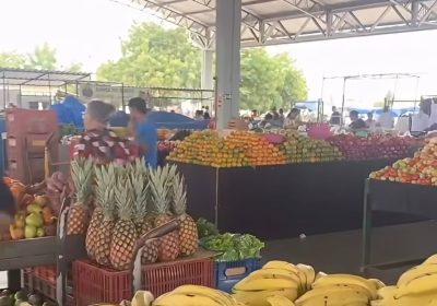 Feira livre do bairro José e Maria em Petrolina estará aberta no feriado de 7 de setembro.