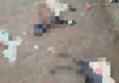 Novo ataque de cães resulta na morte de ovelhas em Maniçoba Novo ataque de cães resulta na morte de ovelhas em Maniçoba