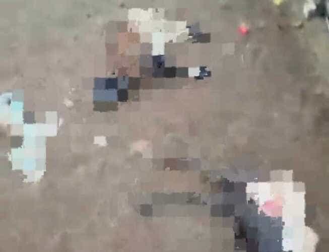 Novo ataque de cães resulta na morte de ovelhas em Maniçoba