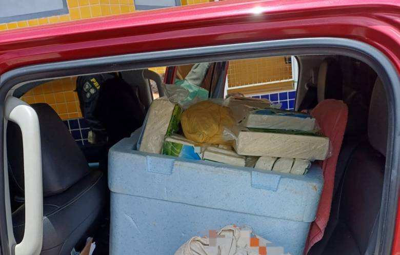 Polícia Rodoviária Federal apreende mais de 230 kg de queijo sem refrigeração no Agreste