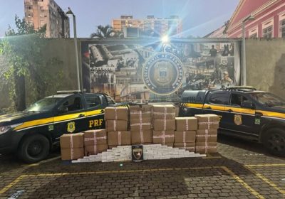 Polícia de Pernambuco apreende 870 Kg de maconha em caminhão disfarçado de academia