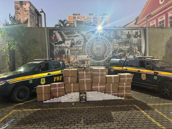 Polícia de Pernambuco apreende 870 Kg de maconha em caminhão disfarçado de academia