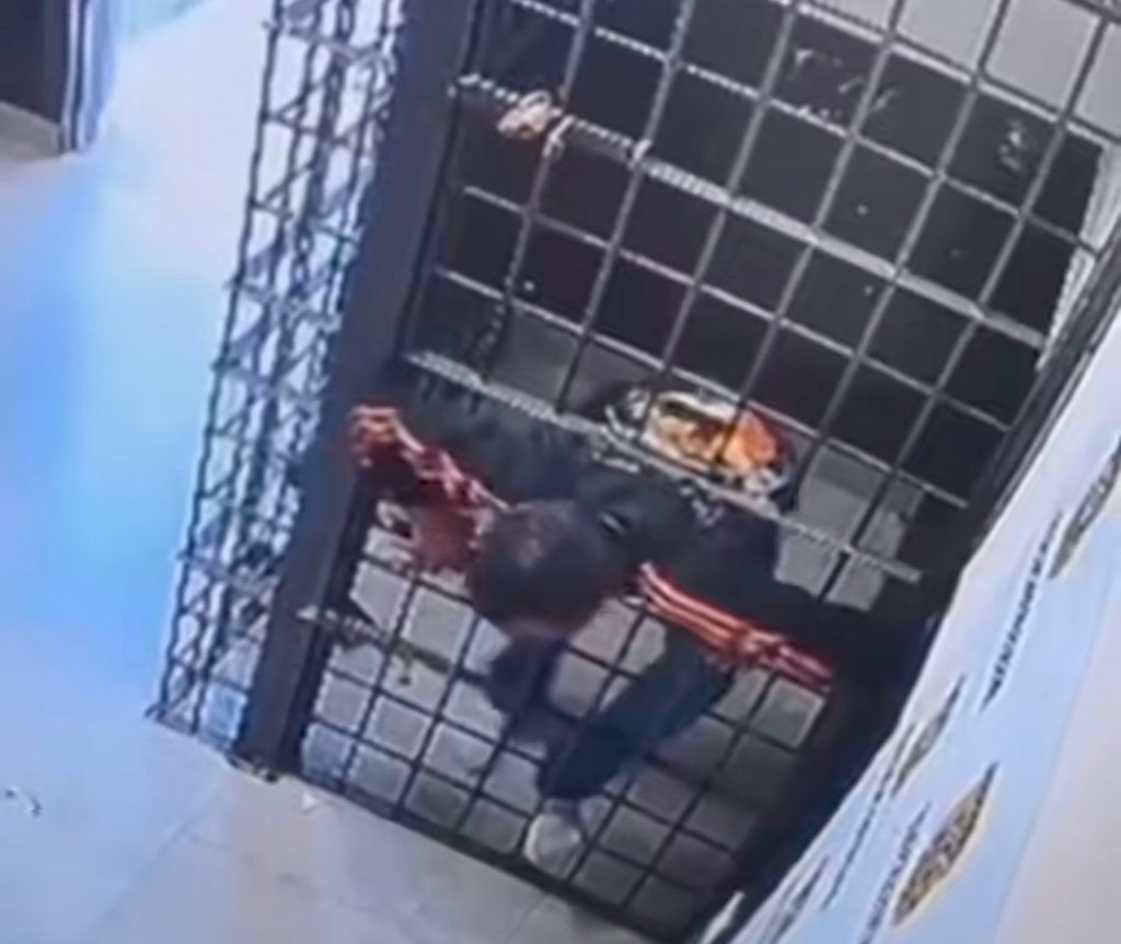 Preso escapa de delegacia em Florianópolis ao passar por buraco na grade da cela