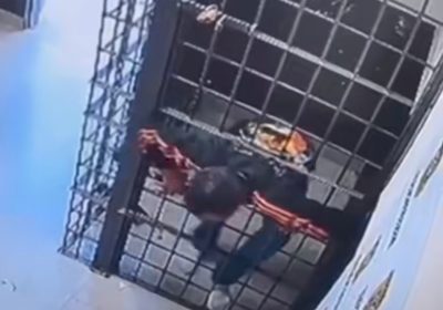 Preso escapa de delegacia em Florianópolis ao passar por buraco na grade da cela