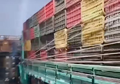 Trabalhador denuncia roubo de cintas no Ceasa de Juazeiro-BA
