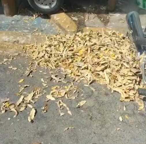 Acúmulo de lixo no Centro de Juazeiro causa transtornos
