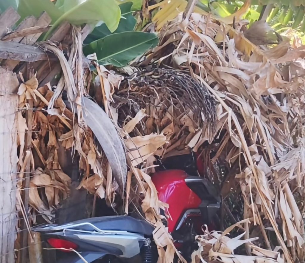 Motocicleta de trabalhador roubada no bairro Pedro Raimundo é localizada abandonada no Antônio Cassimiro em Petrolina