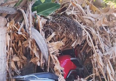 Motocicleta de trabalhador roubada no bairro Pedro Raimundo é localizada abandonada no Antônio Cassimiro em Petrolina