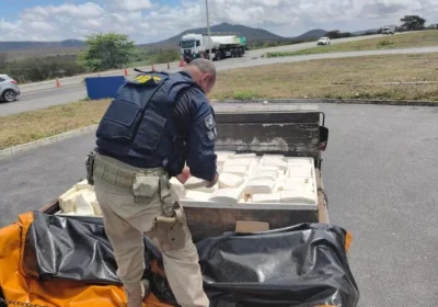PRF apreende 600 kg de queijo em carroceria de caminhão na BR 232 em Pernambuco