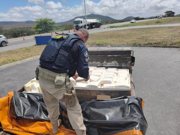 PRF apreende 600 kg de queijo em carroceria de caminhão na BR 232 em Pernambuco