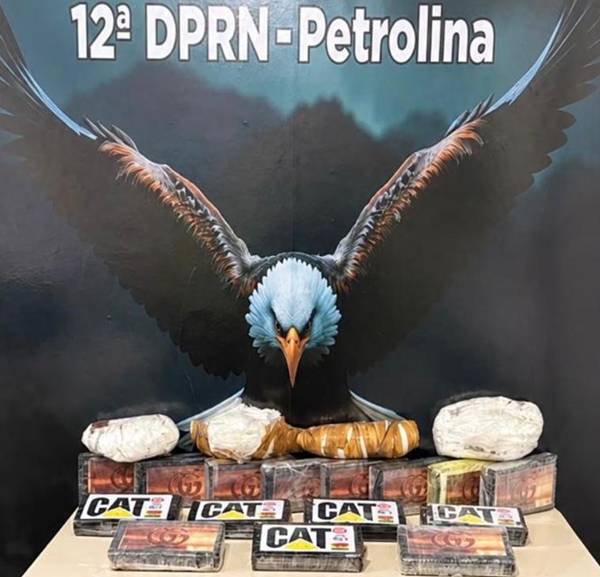 Polícia Civil de Pernambuco e Receita Federal apreendem cerca de 20 kg de pasta-base em operação em Petrolina.