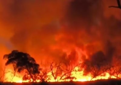Reserva ambiental entre Sento Sé e Campo Formoso, na Bahia, é atingida por incêndio.