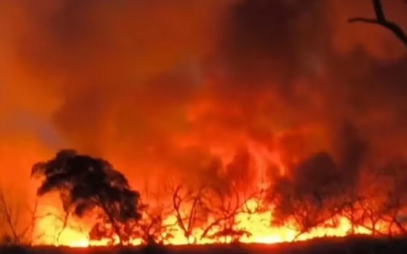 Reserva ambiental entre Sento Sé e Campo Formoso, na Bahia, é atingida por incêndio.