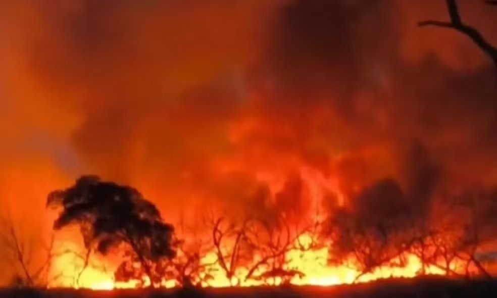Reserva ambiental entre Sento Sé e Campo Formoso, na Bahia, é atingida por incêndio.